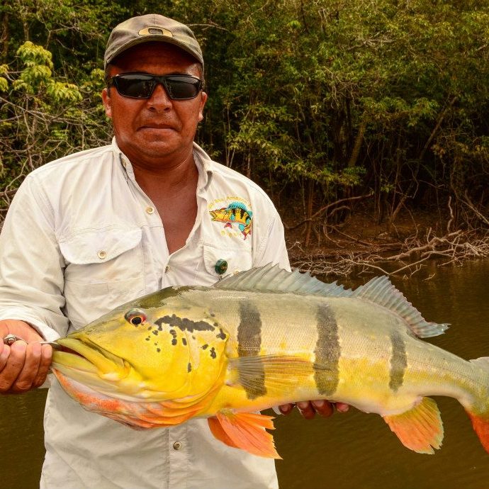 Agua Boa Amazon Lodge