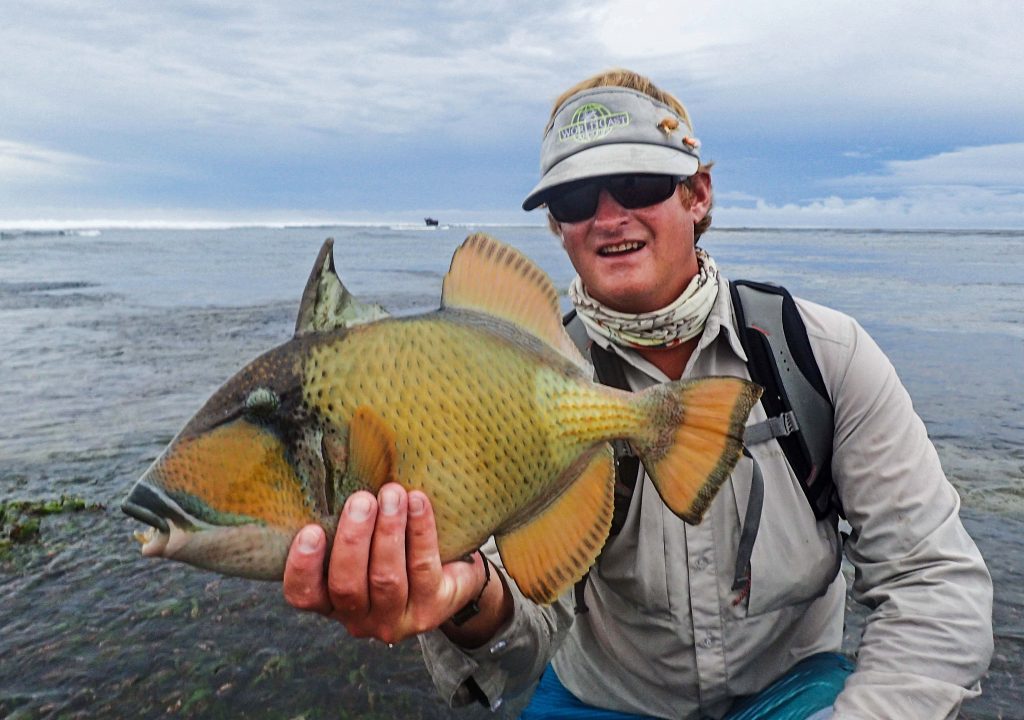 Alphonse Island Seychelles Trip Report 2015
