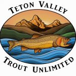 teton-vally-tu-rough-jpg-for-web