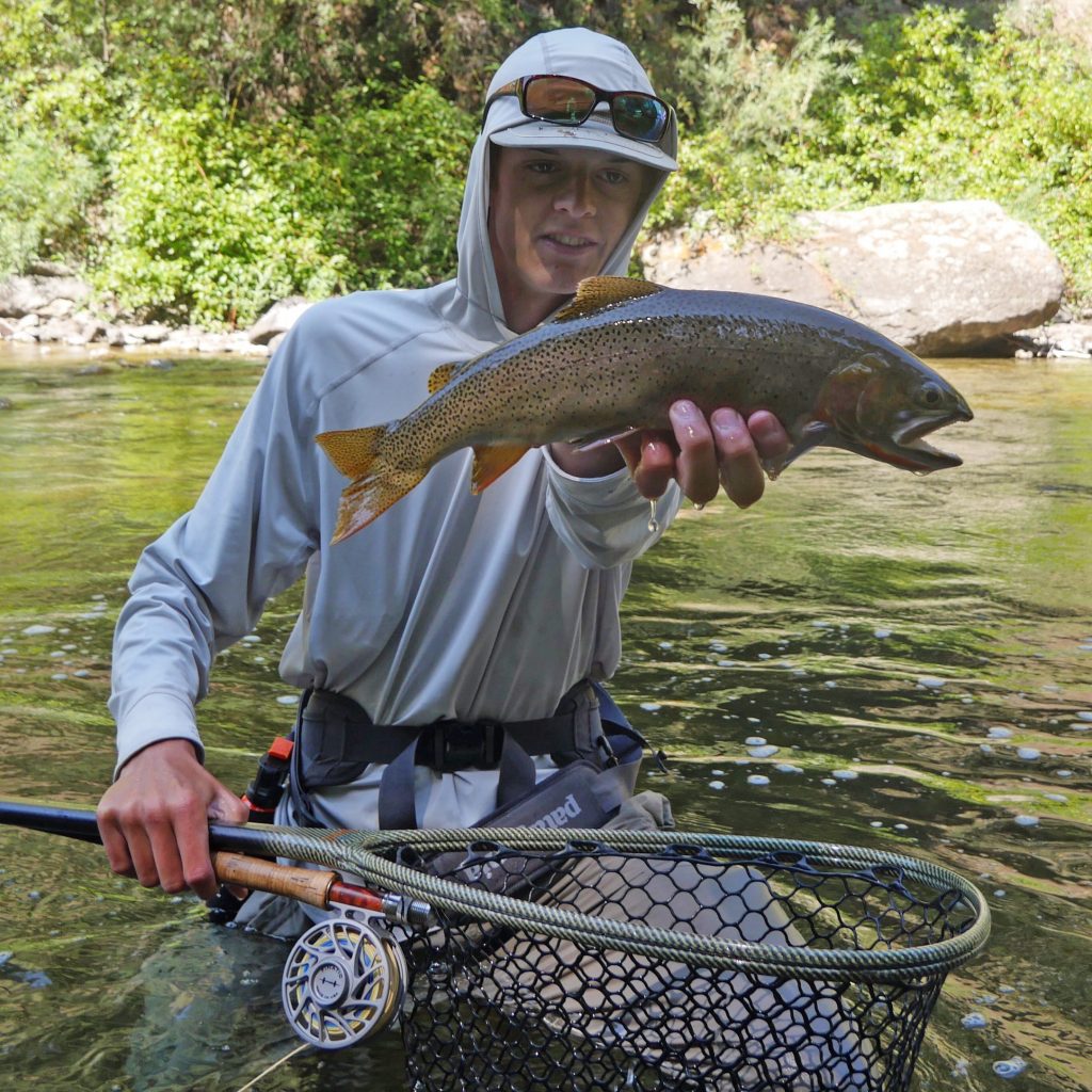 Walk Wade Jackson Hole Fishing Report