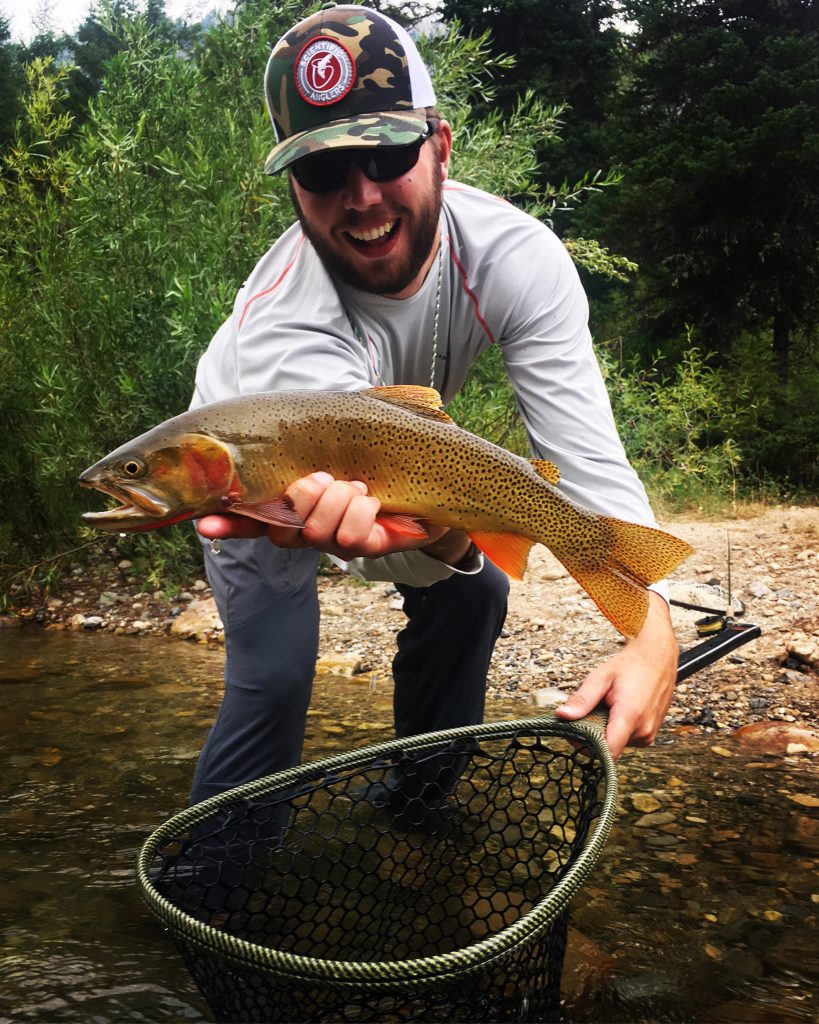 Walk Wade Jackson Hole Fishing Report