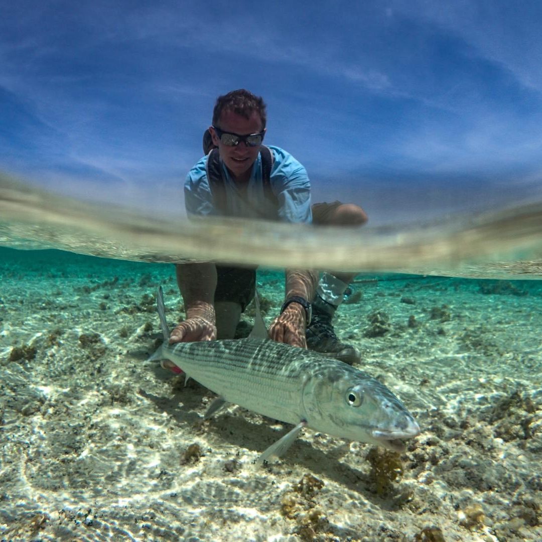 St-Brandons-Atoll-Bonefish-release