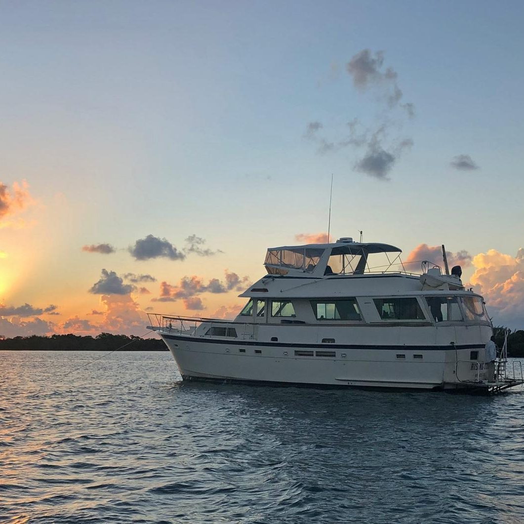Rising Tide Mothership Belize
