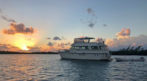 Rising Tide Mothership Belize
