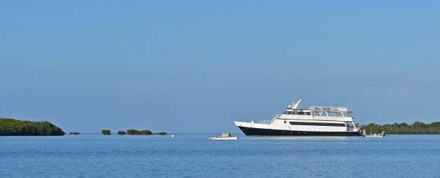 Cuba Jardines de la Reina - Hosted Trip Report George White