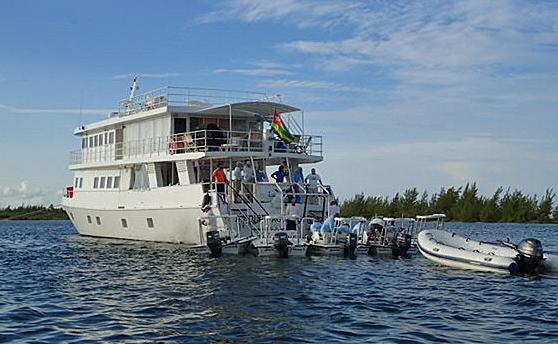 Cayo-Largo-Cuba-Mothership-Brune