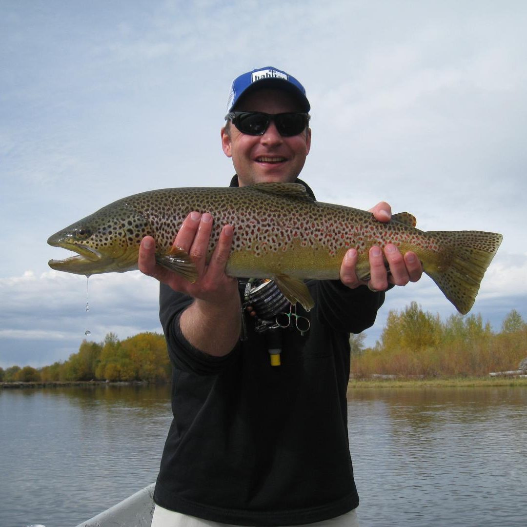 Geordie Brown Trout