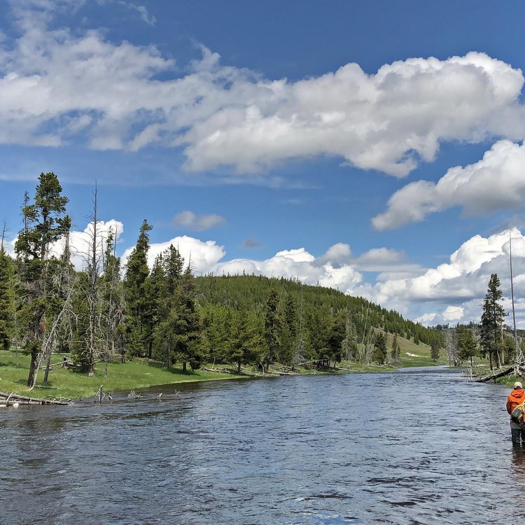 Fly Fishing Yellowstone National Park