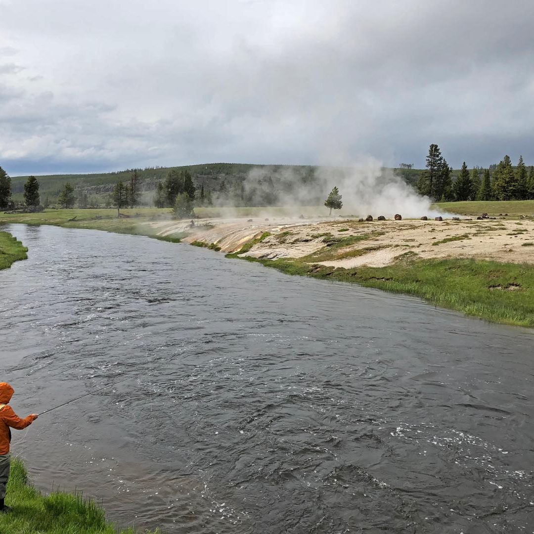 Fly Fishing Yellowstone National Park