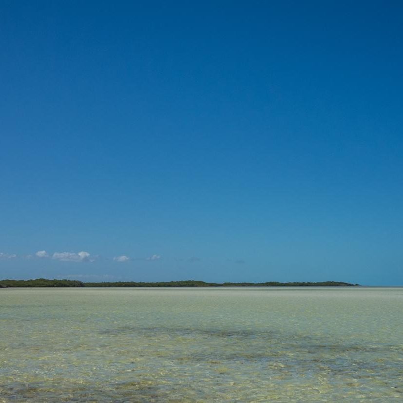 Cayo Cruz Cuba Fly Fishing