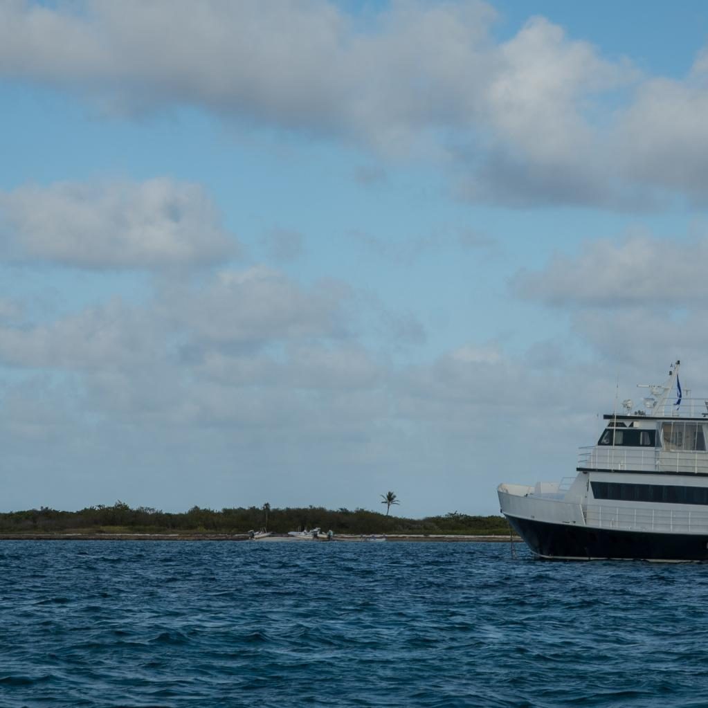 Cayo Cruz Cuba Fly Fishing