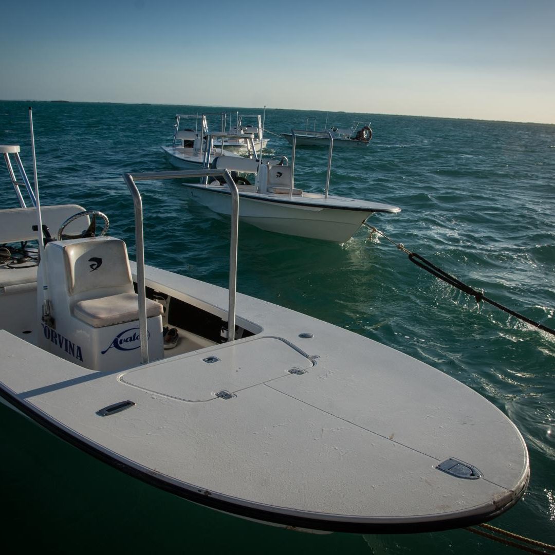 Cayo Cruz Cuba Fly Fishing