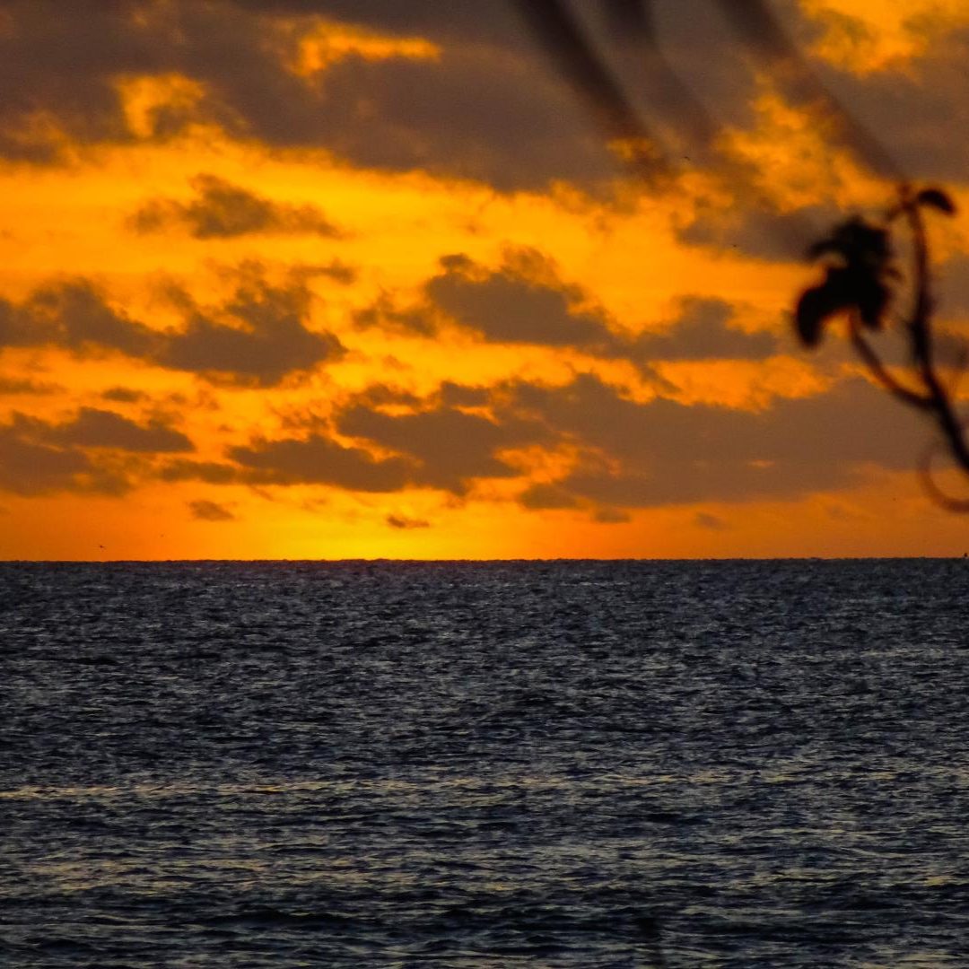 St. Brandon's Atoll Fly Fishing