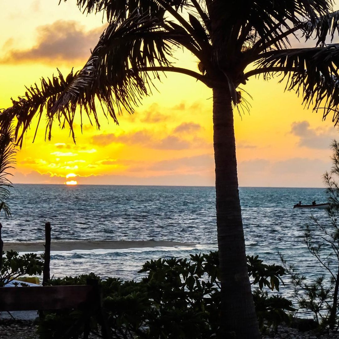 St. Brandon's Atoll Fly Fishing
