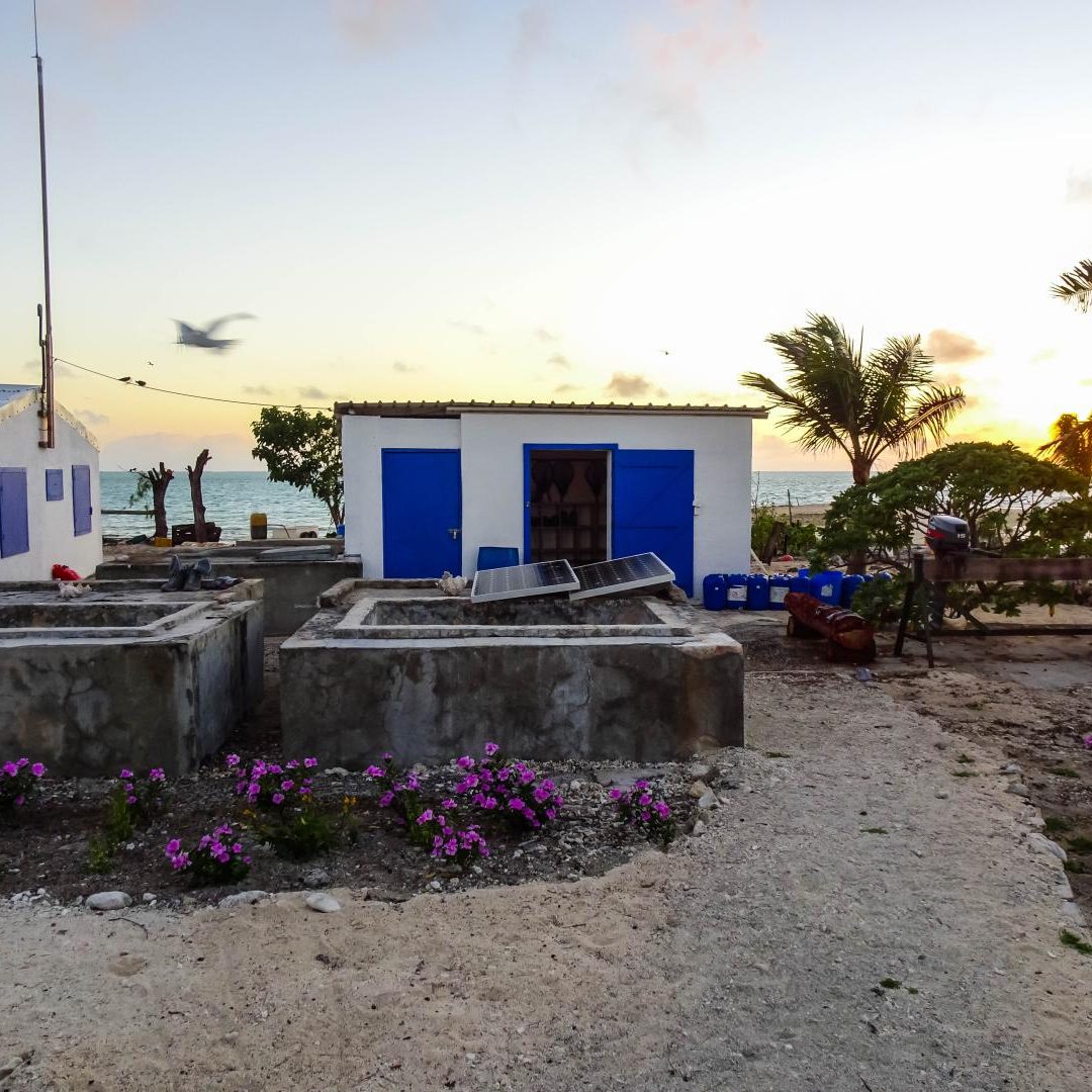 St. Brandon's Atoll Fly Fishing
