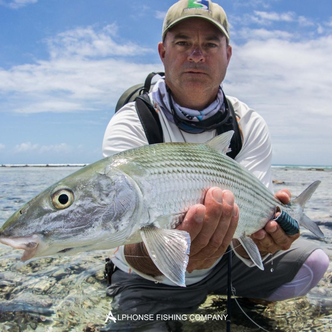 Alphonse Fly Fishing