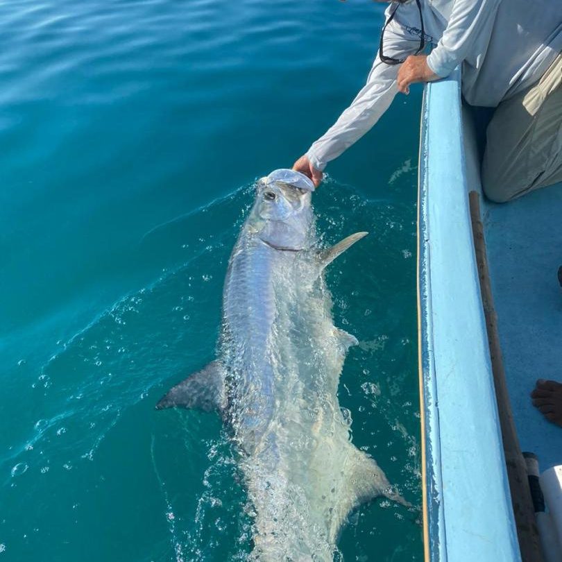 Holbox Tarpon Club Fly Fishing
