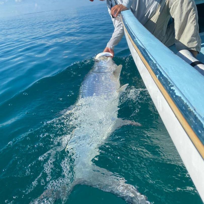 Holbox Tarpon Club Fly Fishing