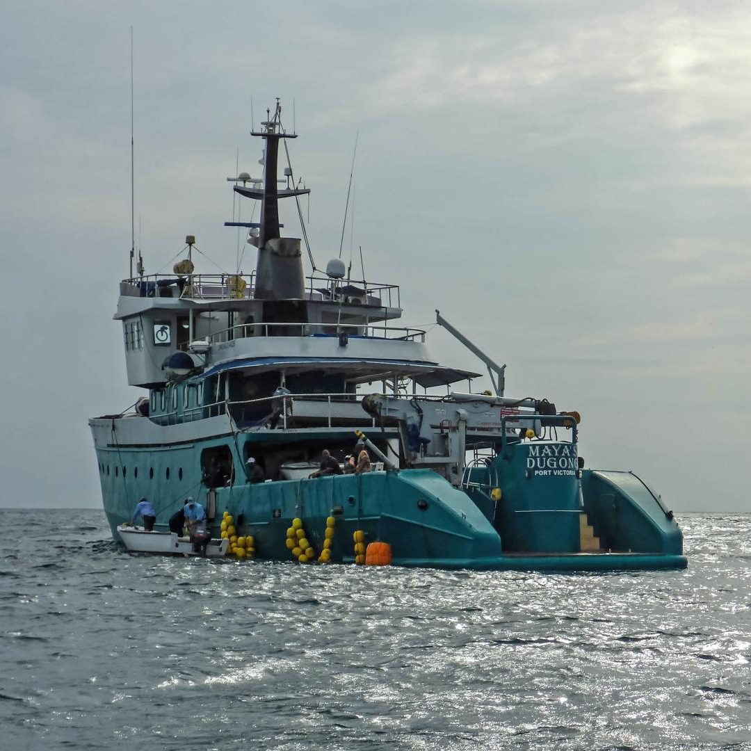 Providence Atoll Fly Fishing