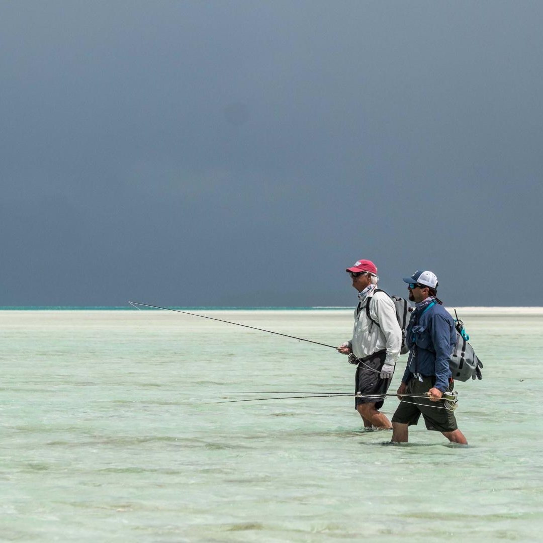 Alphonse Fly Fishing