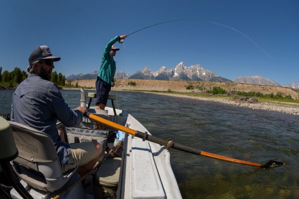 Fly Fishing Jackson Hole - Snake River