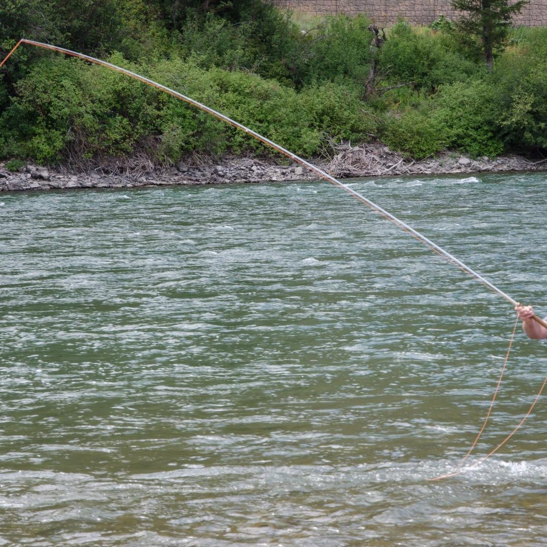 Dec Hogan Spey Casting Clinics
