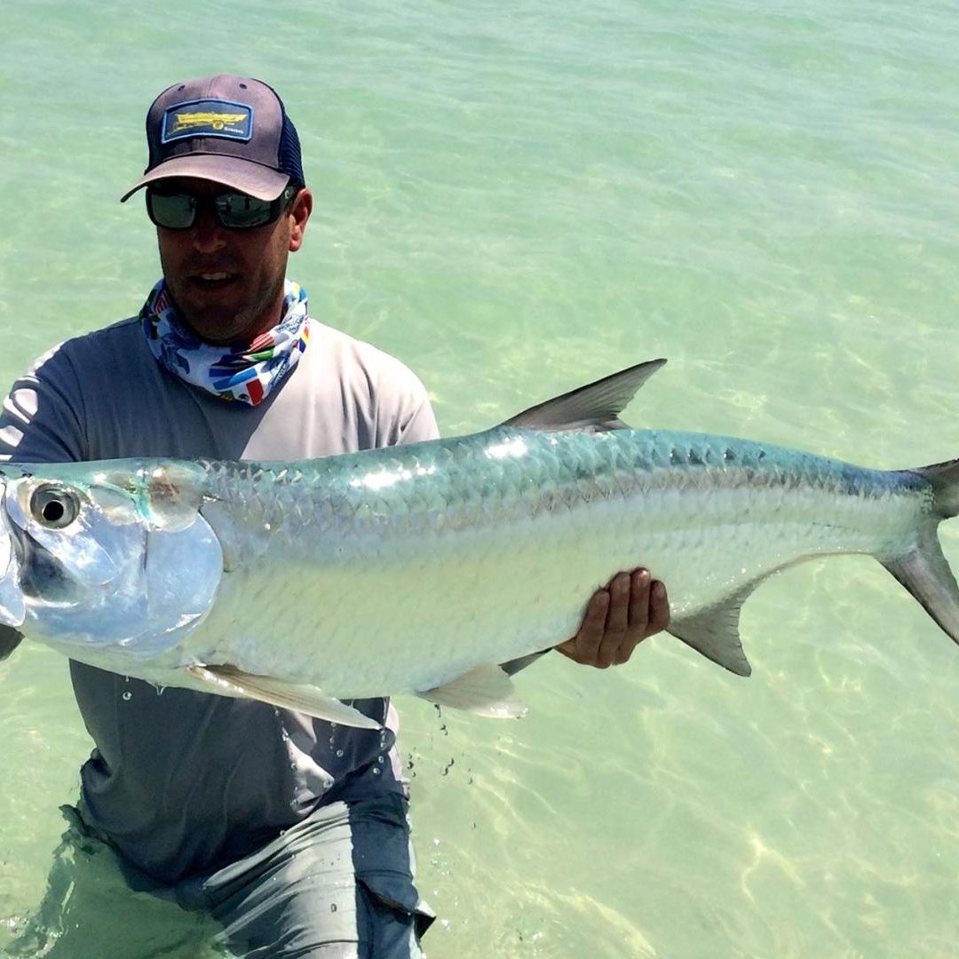 Kay Fly Fishing Lodge Tarpon