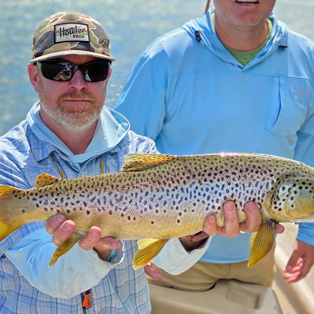 Brian-G-Brown-Trout-South-Fork