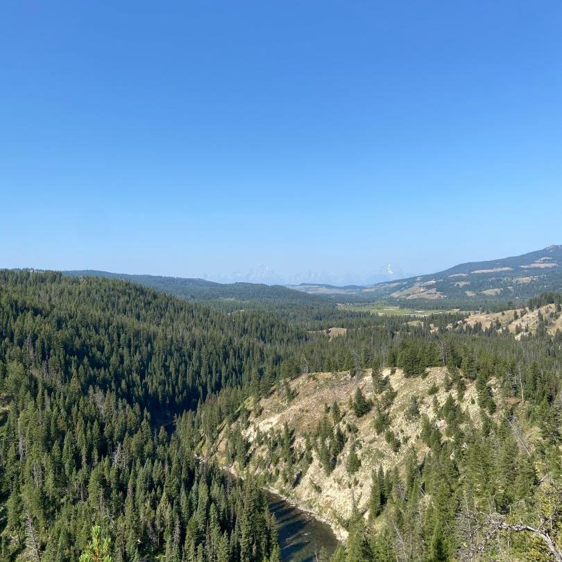 Turpin Meadows Backcountry Fly Fishing