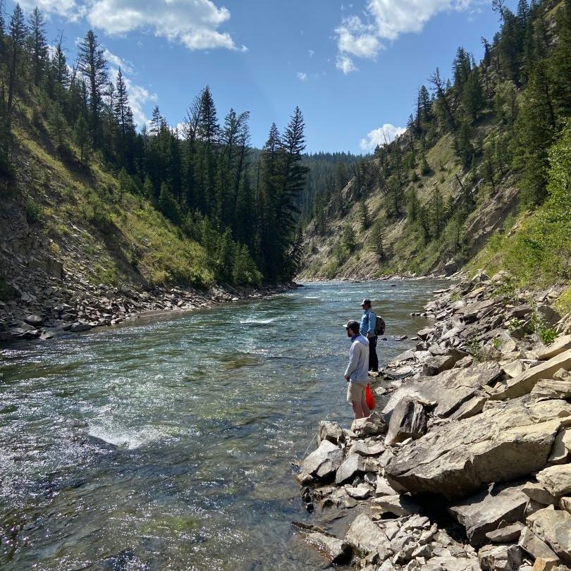 Turpin Meadows Backcountry Fly Fishing