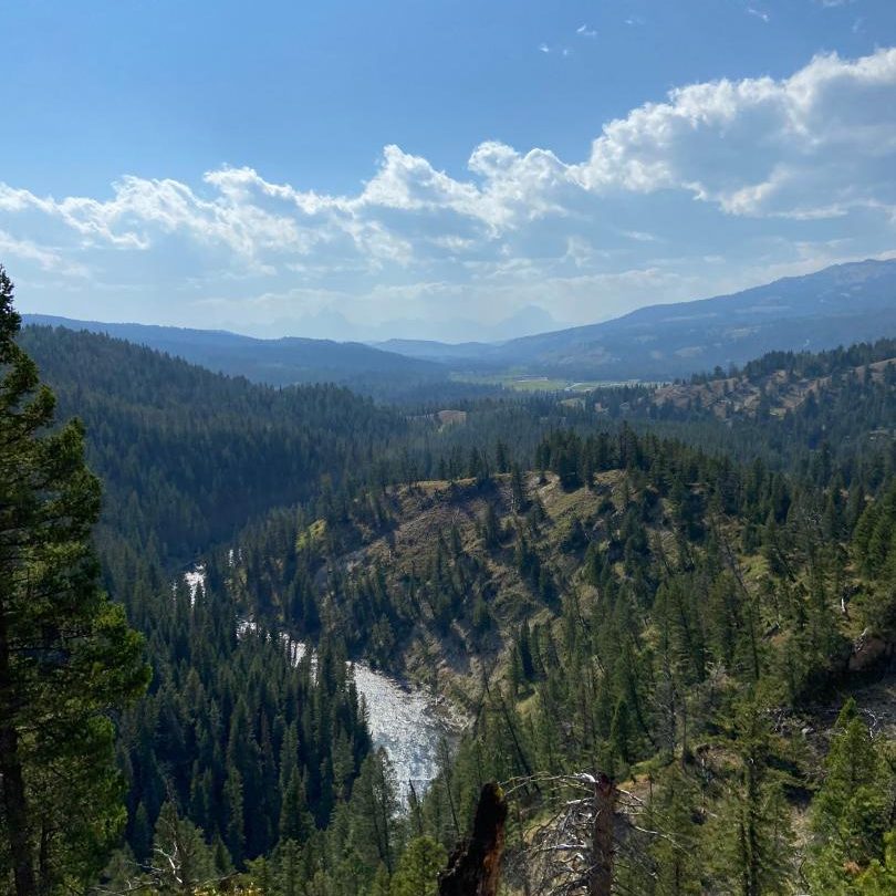 Turpin Meadows Backcountry Fly Fishing