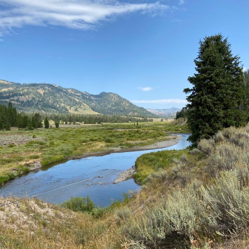 Turpin Meadows Backcountry Fly Fishing
