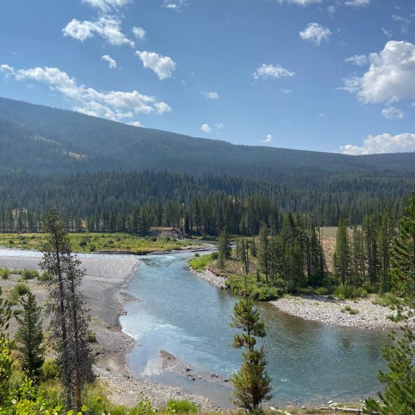 Turpin Meadows Backcountry Fly Fishing
