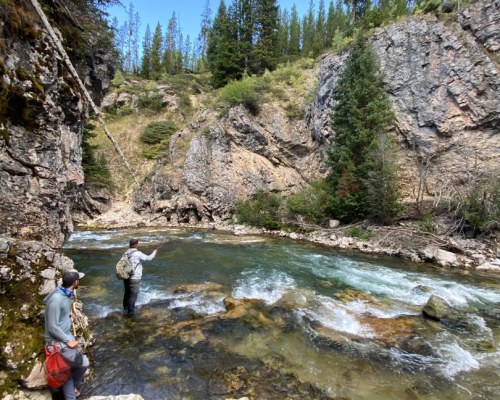 Turpin Meadows Backcountry Fly Fishing