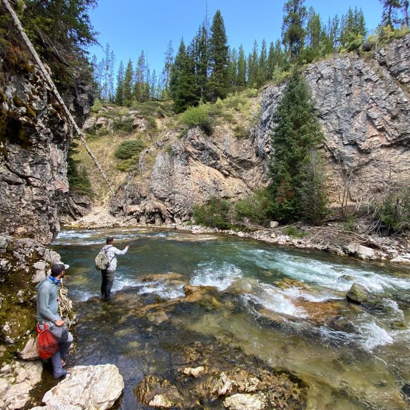 Turpin Meadows Backcountry Fly Fishing