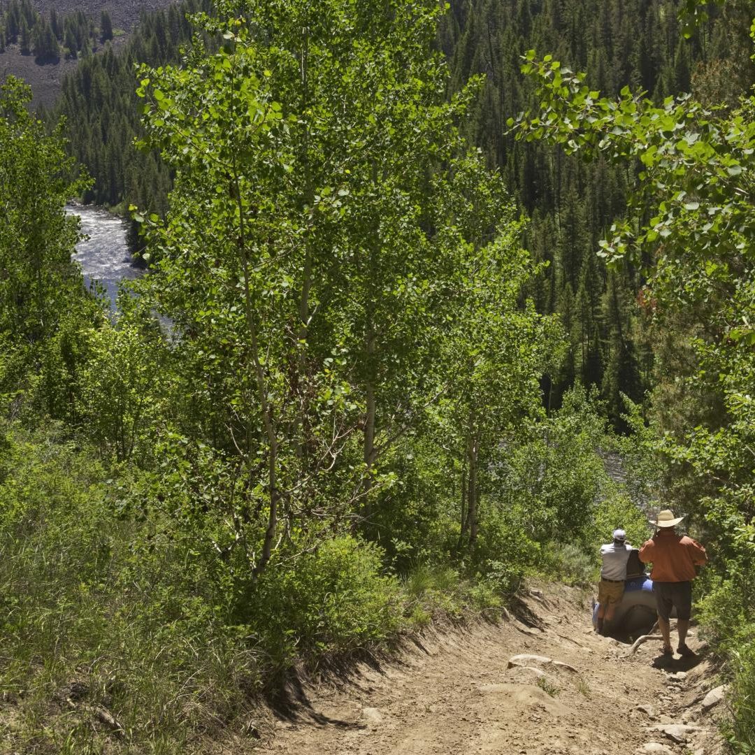Fly Fishing Idaho's Henry's Fork River - WorldCast Anglers