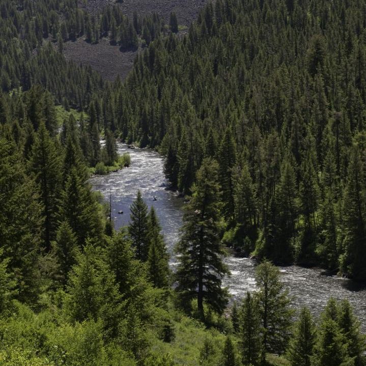 Fly Fishing Idaho's Henry's Fork River - WorldCast Anglers