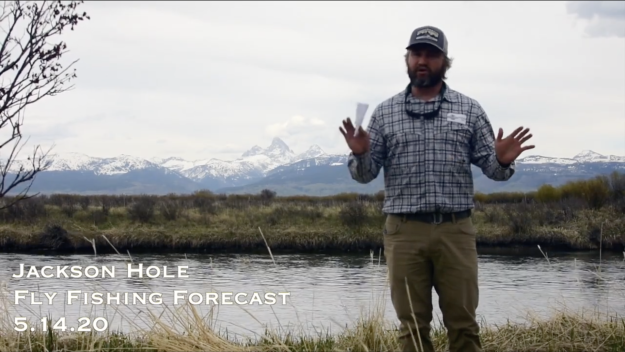 Jackson Hole Fly Fishing Forecast 5.14.21