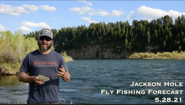 Jackson Hole Fly Fishing Forecast 5.28.21
