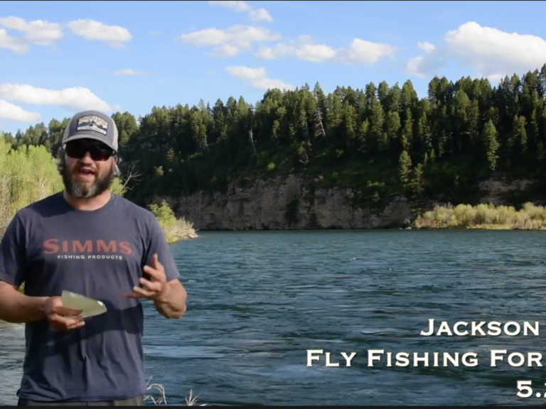 Jackson Hole Fly Fishing Forecast 5.28.21