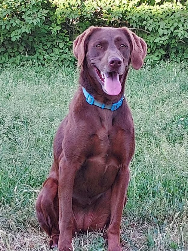 Ruth Profile