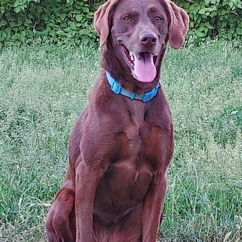 Ruth Profile