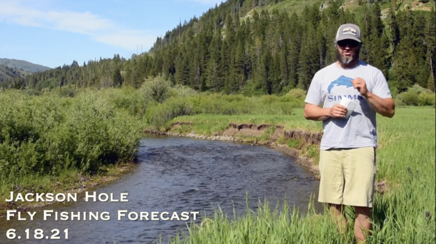 Jackson Hole Fly Fishing Forecast 6.18.21
