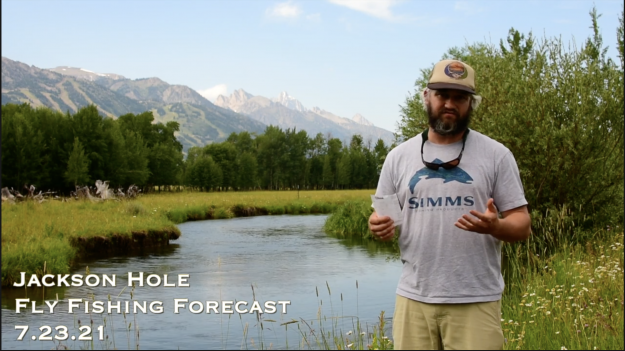 Jackson Hole Fly Fishing Forecast 7.23.21