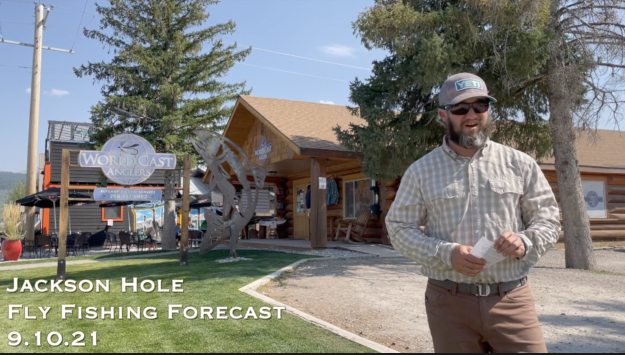 Jackson Hole Fly Fishing Forecast