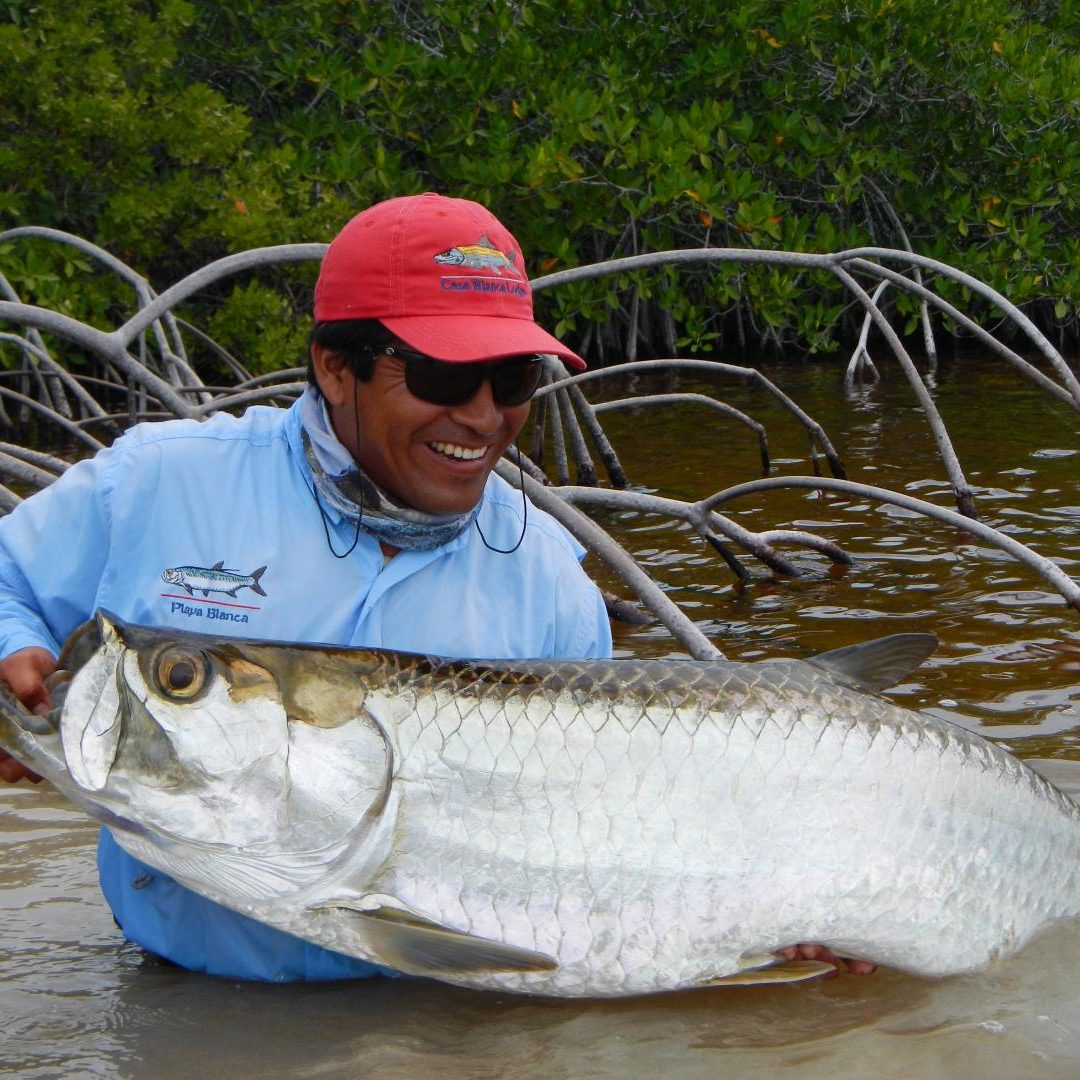 Casa Blanca Fly Fishing Lodge Tarpon II