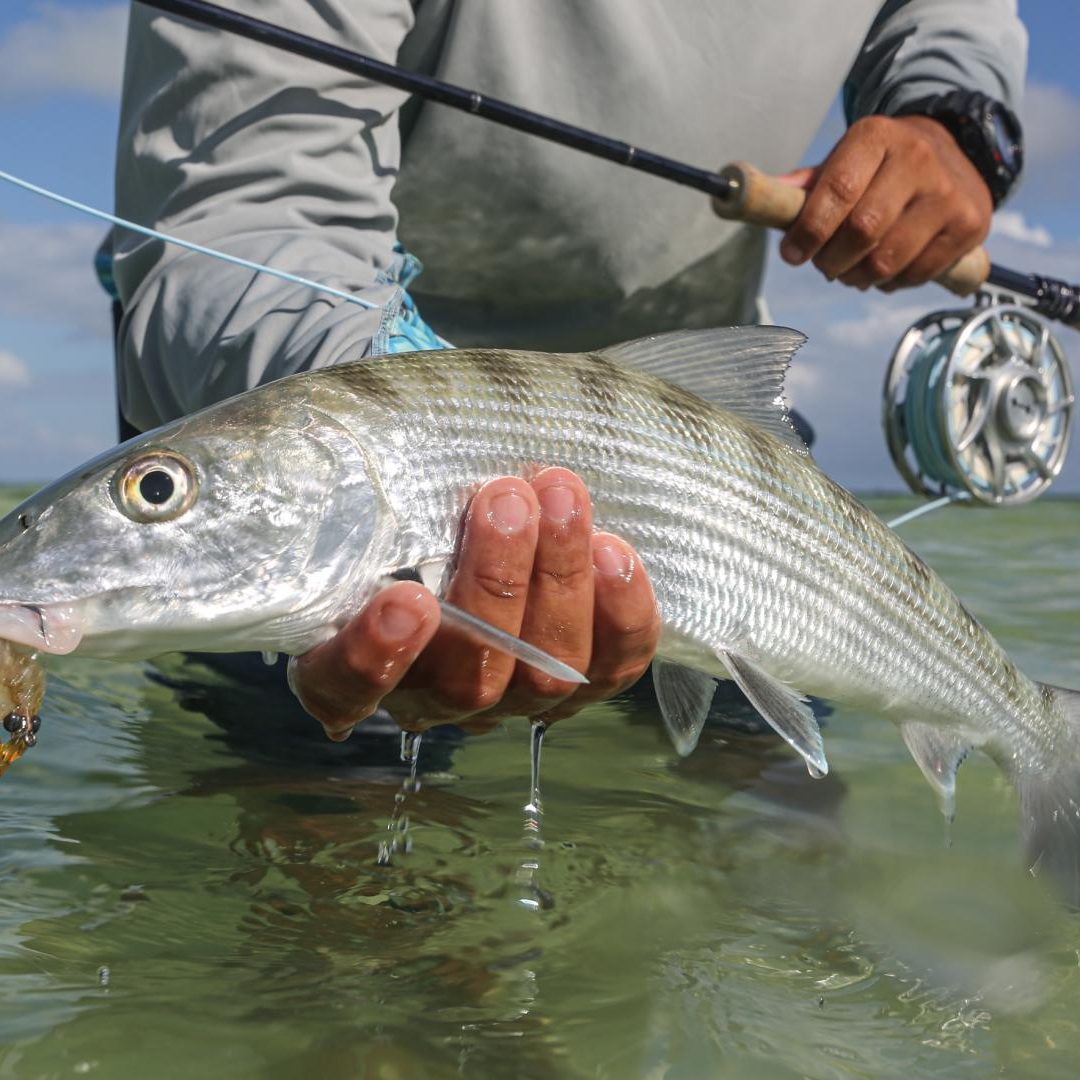 Saltwater 101 Fly Fishing School