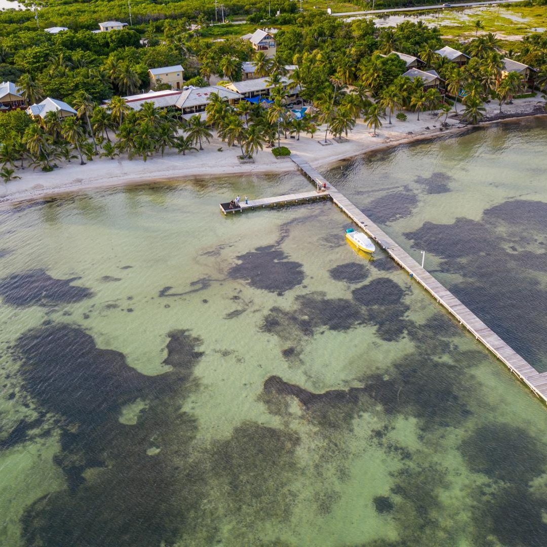Saltwater 101 Fly Fishing School
