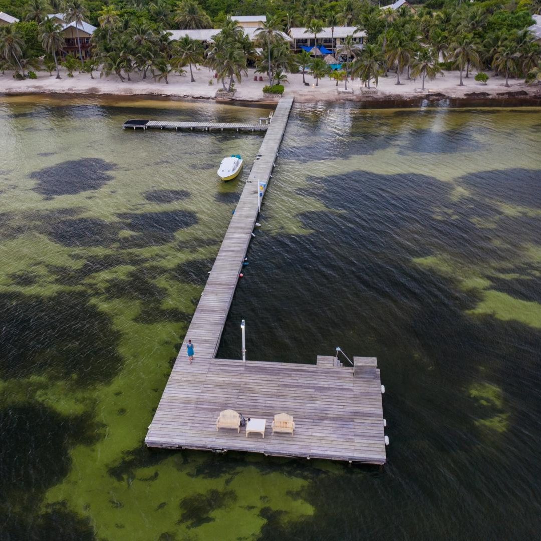 Saltwater 101 Fly Fishing School
