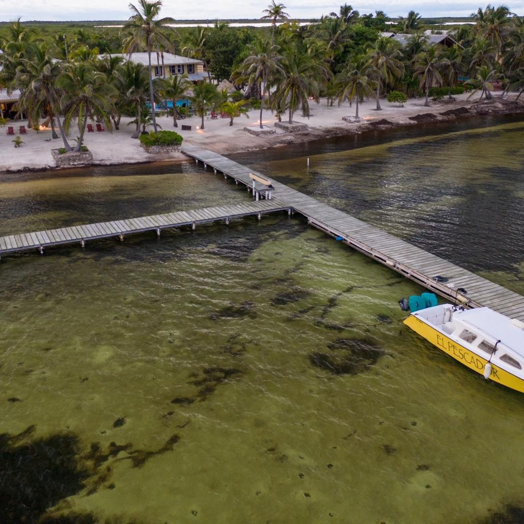 Saltwater 101 Fly Fishing School